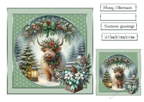 christmas  highland coo