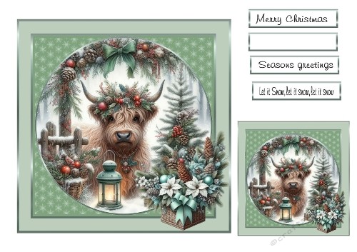 christmas  highland coo 2
