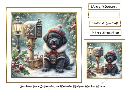 christmas  lab puppy