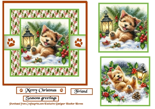 santa paws norfolk terrier