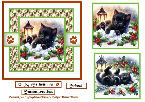 santa paws black cat