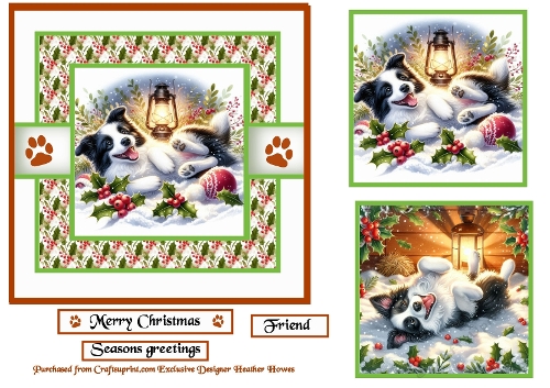 santa paws border collie
