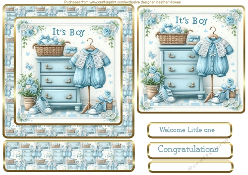 a new arrival in blue