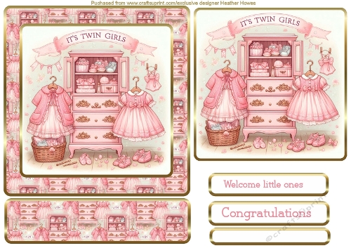 a new arrival in pink twins