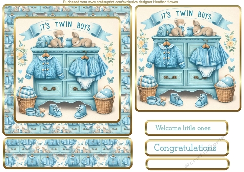 a new arrival in blue twins