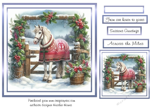 white horse at christmas