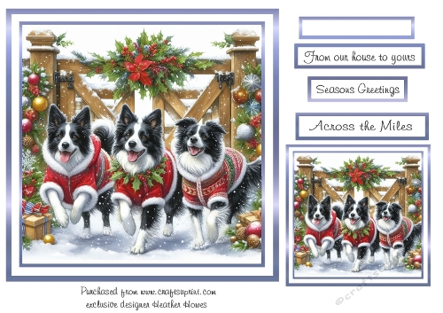 collies at christmas