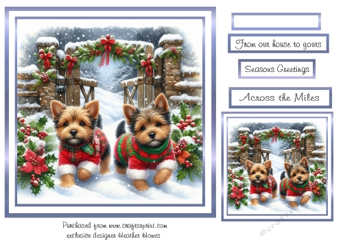 norfolk terriers 2 at christmas