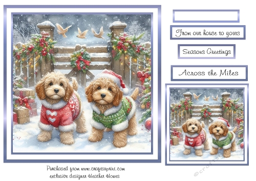 cockapoos at christmas