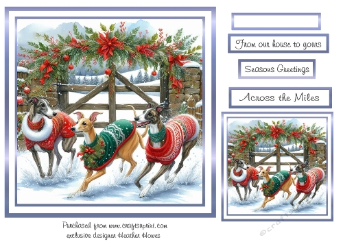 greyhounds at christmas