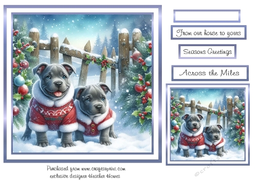 staffies blue christmas