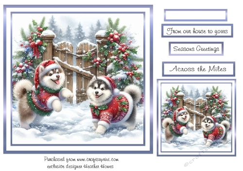 huskies  blue christmas