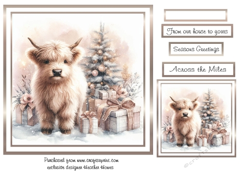 soft colours at christmas highland coo