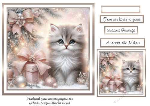 soft colours at christmas  kitten
