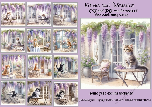 20+Wisteria Kittens on the patio