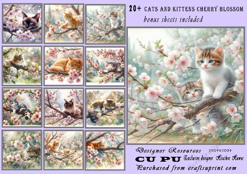 Cats and kittens in the cherry blossom (as requested)