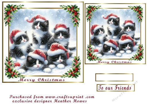 black and white kittens meowy christmas