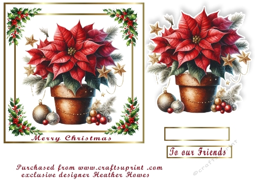 poinsettia  christmas