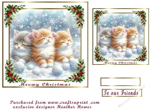 meowy christmas in th snow