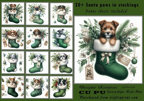 20+ santa paws in stockings