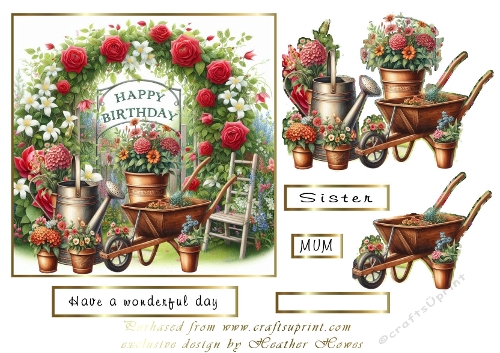birthday in the garden