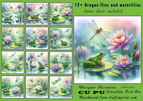 12+ dragon flies and waterlilies