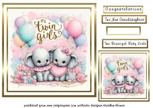 new twin  baby girls 2