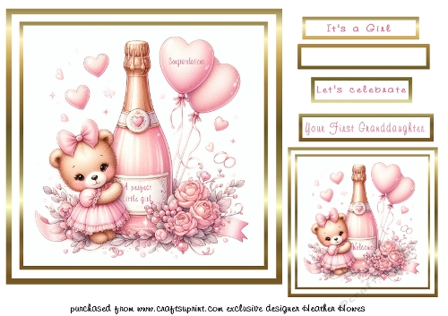 Baby girl champagne