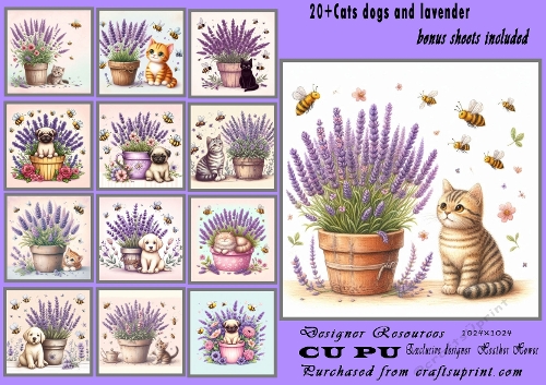 20+ lavender cats and dogs