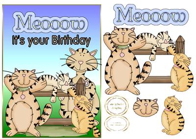 Meeeeow Its Your Birthday
