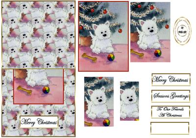 Westie at Christmas