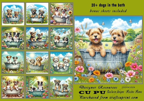 20+ dogs in the bath tub