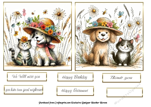 cat and dog 1