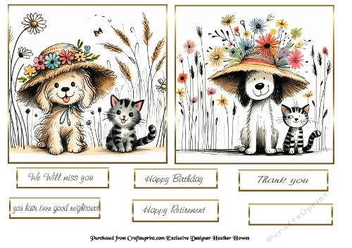 cat and dog 3