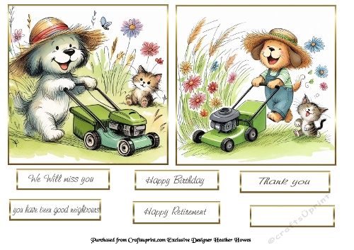 cat and dog 4