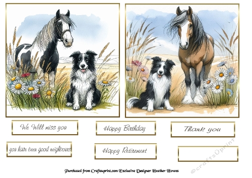 horse dog 1
