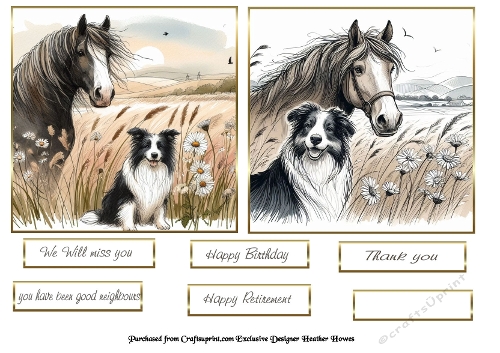 horse dog 2