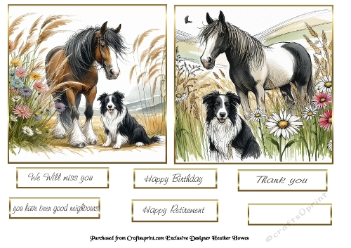 horse dog 3
