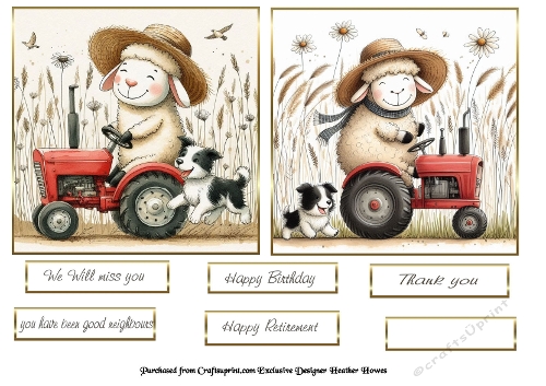 sheep and dog 1