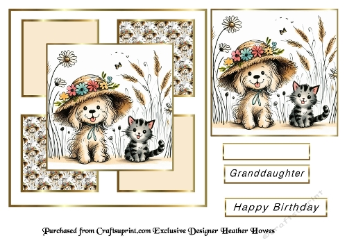 cat and dog birthday