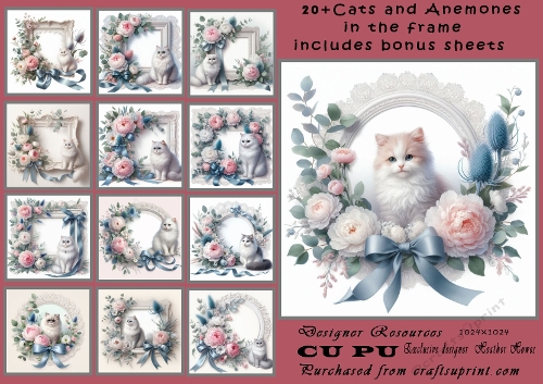 20+  Cats in the frame with Anemones