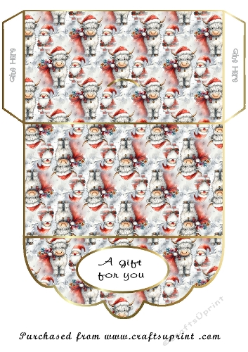 money wallet christmas/Birthday