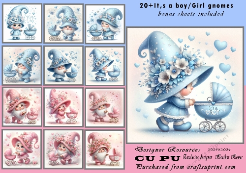 20+new baby boy/ girlgnomes