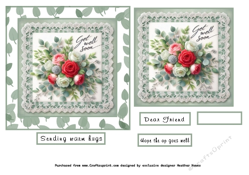 green gingham get well 1