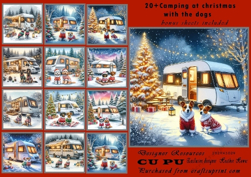 20+Christmas camping with the dogs