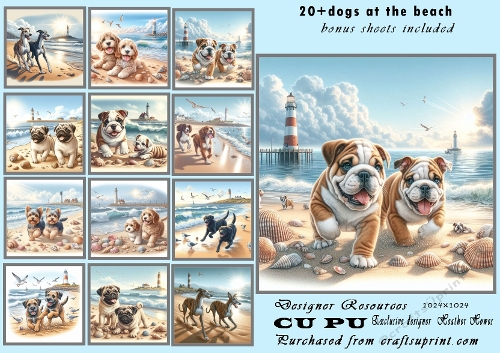 20+dogs at the beach