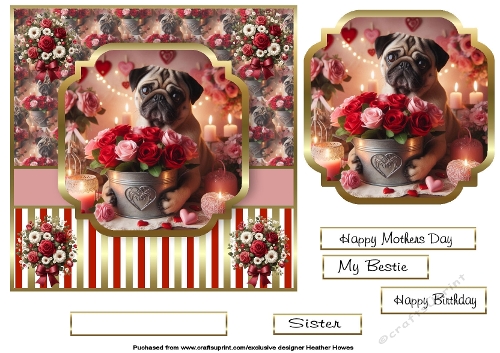 pugs and roses
