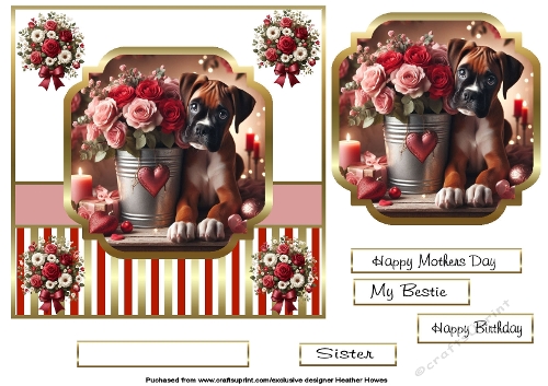 boxer dog and roses