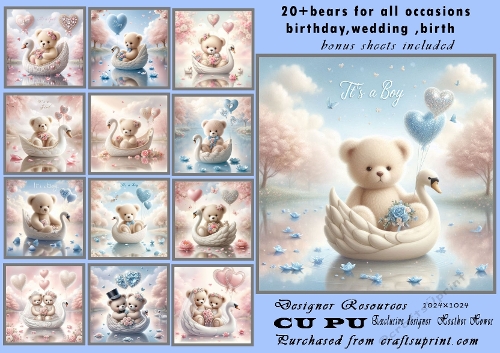 20+bears and swans all occasions