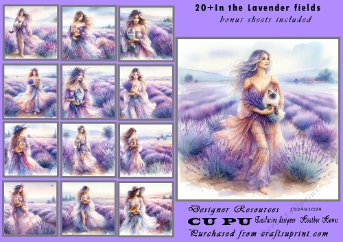 20+boho girl with kitten in lavender fields